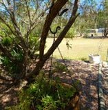 Hand Froged Hanging Pot Hook